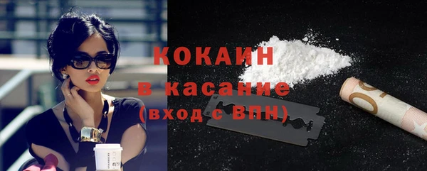 мяу мяу мука Аркадак