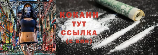 мяу мяу мука Аркадак
